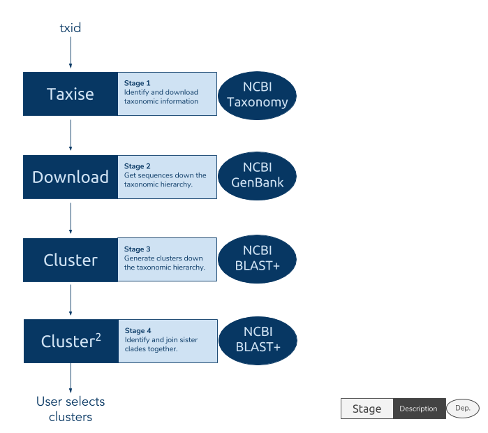 phylotaR pipeline stages